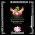 Volume ∞, Chapter Z06 (2/2) - Non-linear Wisdom Teachings of Sambodhi Padmasamadhi