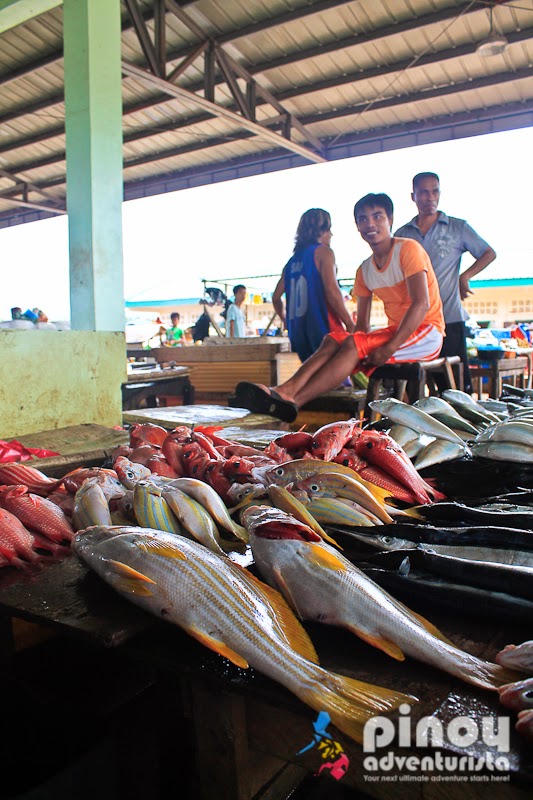 Maimbung Sulu ARMM