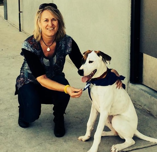 Canine Cognitive Dysfunction Treatment Australian Dog Lover