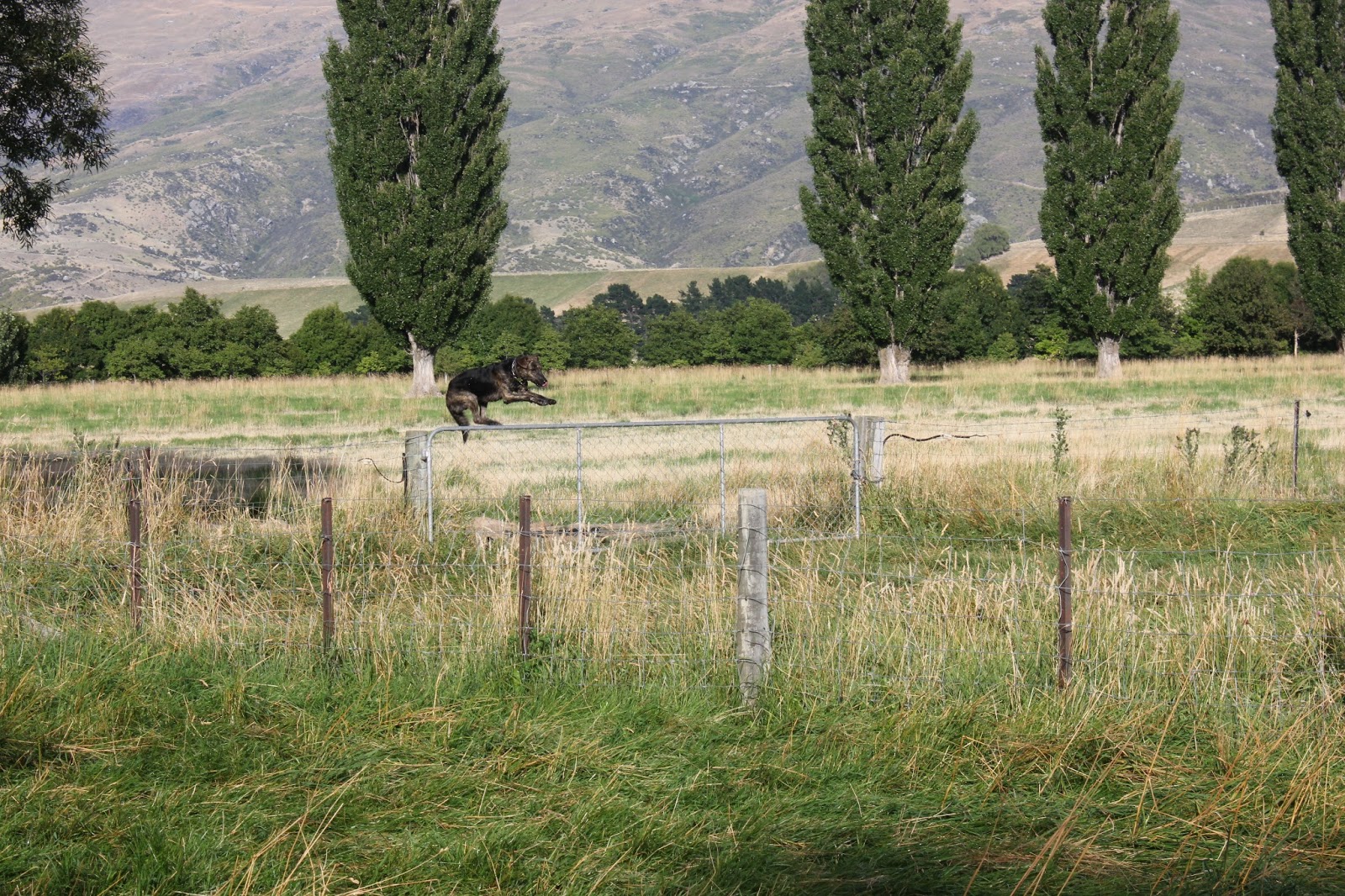 Granny's Got a Bike: Day 8: Smallburn Farm to Wanaka