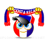 Costa Rica fan