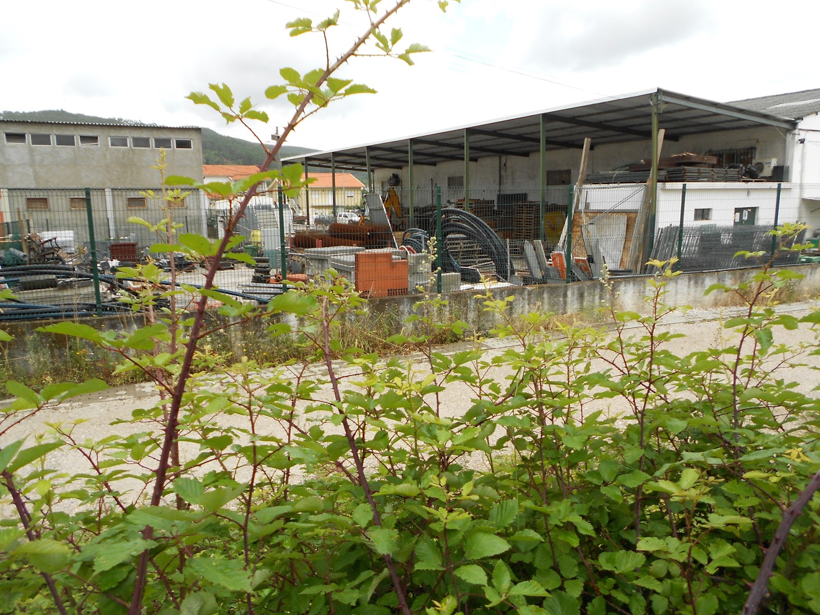 Espaço Aberto Uma Nova Miranda Silvas conquistam Ramal da Lousã