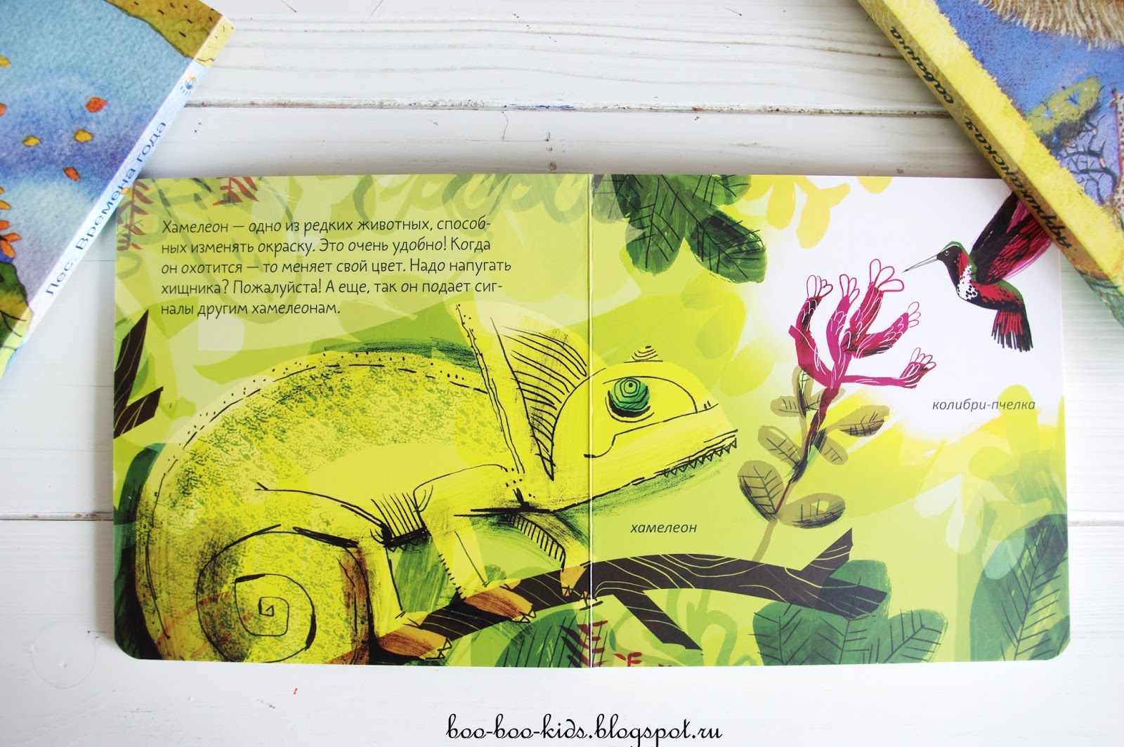 Хамелеон фурри арт. Хамелеон том 4 читать полностью. Хамелеон том 4 читать полностью. Хамелеон том 4 читать полностью. Хамелеон том 4 читать полностью.