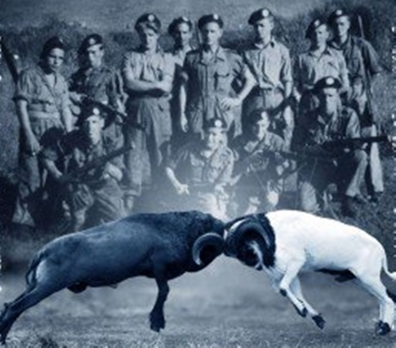 Fort van der Capellen