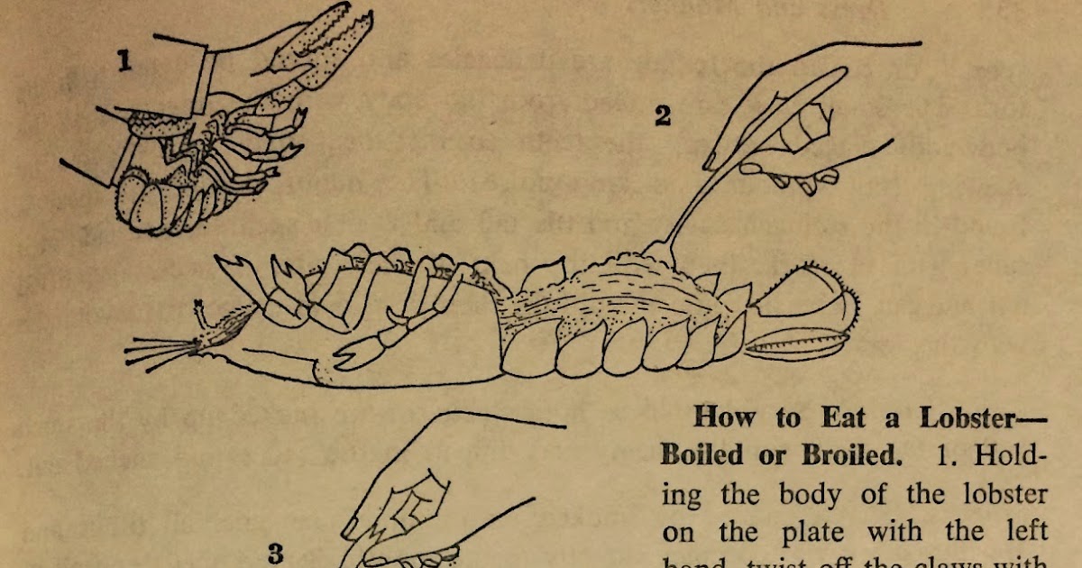 Etiquipedia Etiquette for Lobster and Shellfish