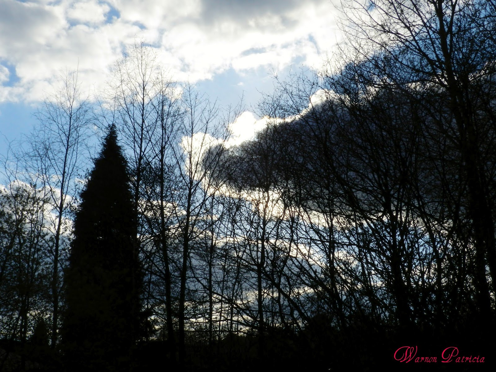 La Tete Dans Les Nuages Belle Epine amoureuse de la nature: La tête dans les nuages....Ils avaient bien le