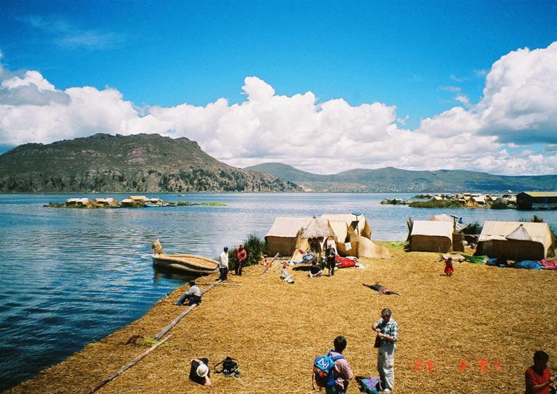 The totora reed is plentiful along the edges of lake Titicaca. The Uru people use them to make their homes, their furniture, their boats, and the islands they live on. Its dense roots support the top layer, which rots and must be replaced regularly by stacking more reeds on top of the layer beneath.