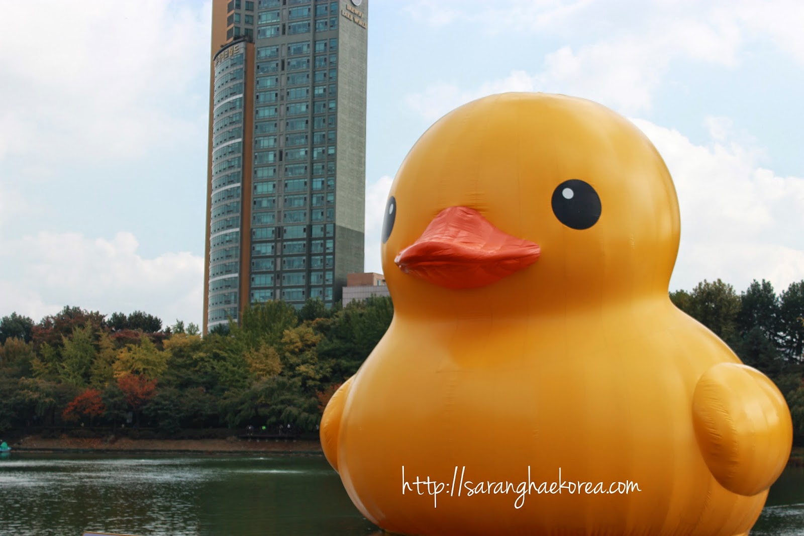 The Rubber Duck Project in Korea