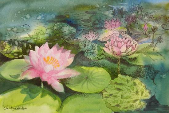Pink Lotus Flowers by Chitra Vaidya (part of her portfolio on www.indiaart.com)