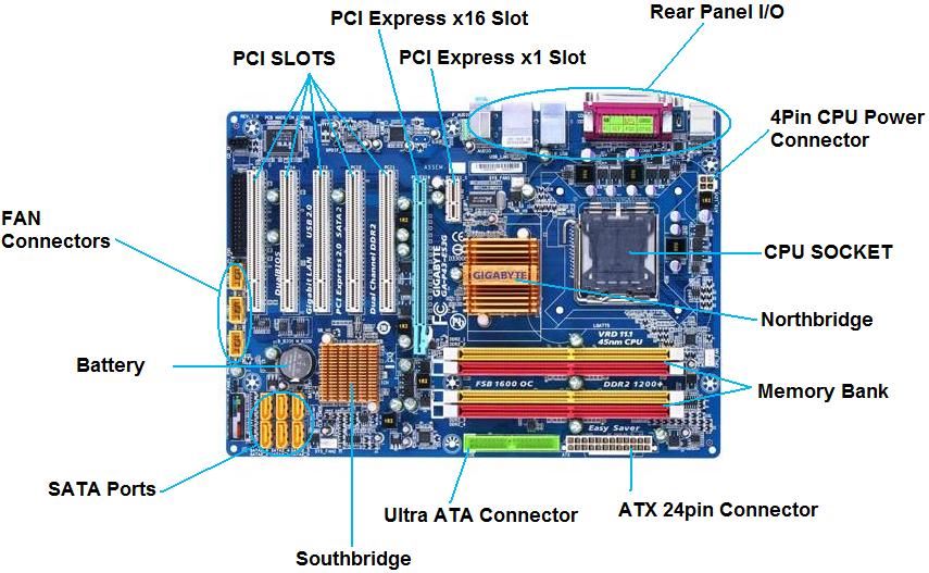 X 4 16x 0. PCI-E x4 на материнской плате. Слотов PCI-E 3.0 x16. PCI E x16 на материнской плате слот PCI-E. Разъём PCI-E x16 пины.