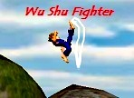 wu shu fighter