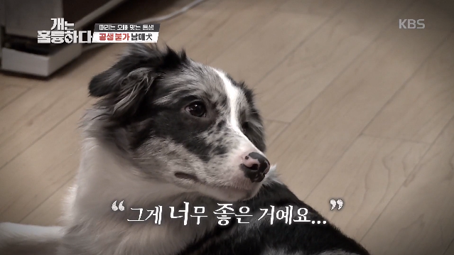 이미지에 대체텍스트 속성이 없습니다; 파일명은 0-3.png 입니다.