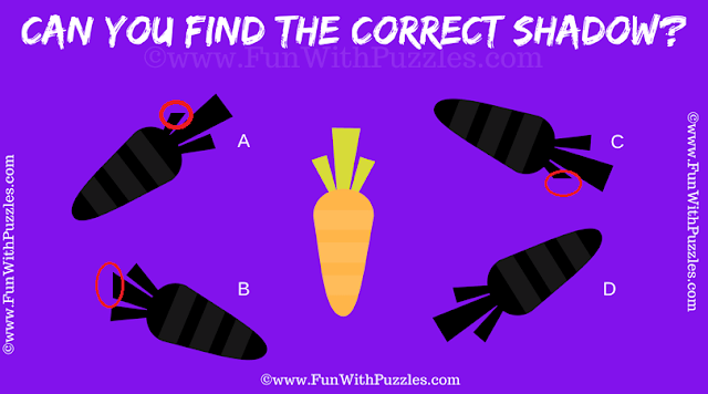 Answer of Picture Shadow Brain Teaser for Kids