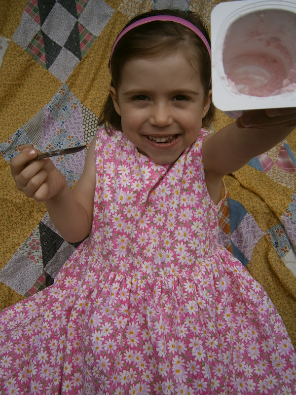 Flour Sack Mama: Trying New Greek Yogurt for Kids