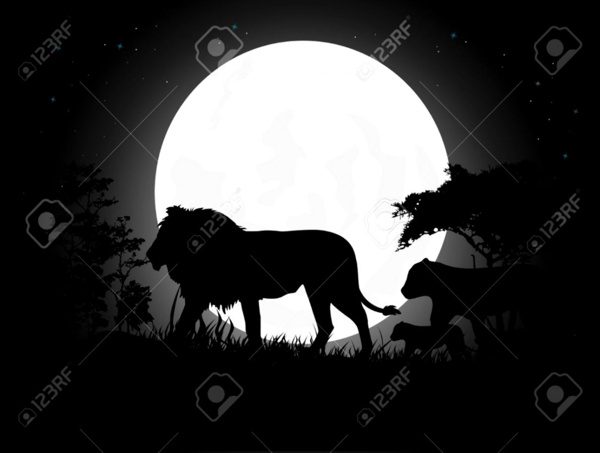 Beautiful Lion Family Silhouettes With Giant Moon Background