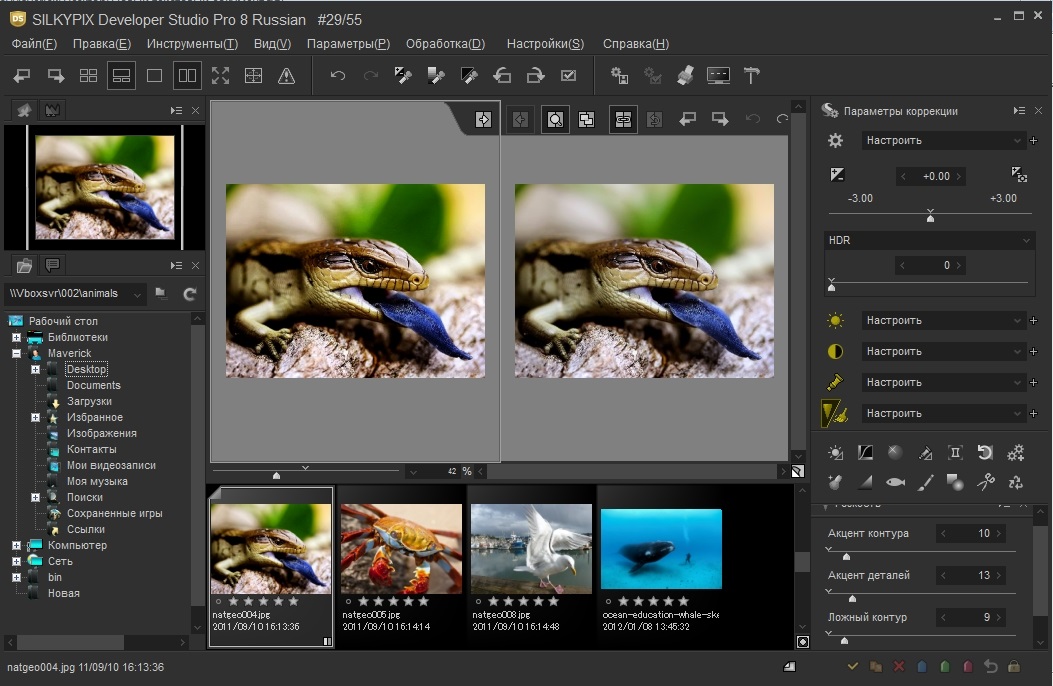 silkypix developer studio pro 8 with vista silkypix developer studio pro 8 with vista