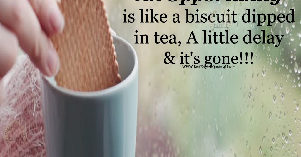 An Opportunity is like a biscuit dipped in tea | Best English