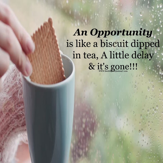 An Opportunity is like a biscuit dipped in tea ...