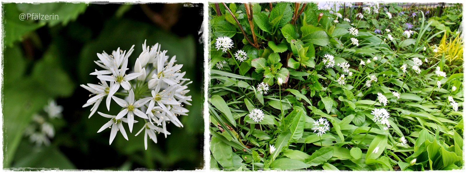 Php Archive Freakcommander