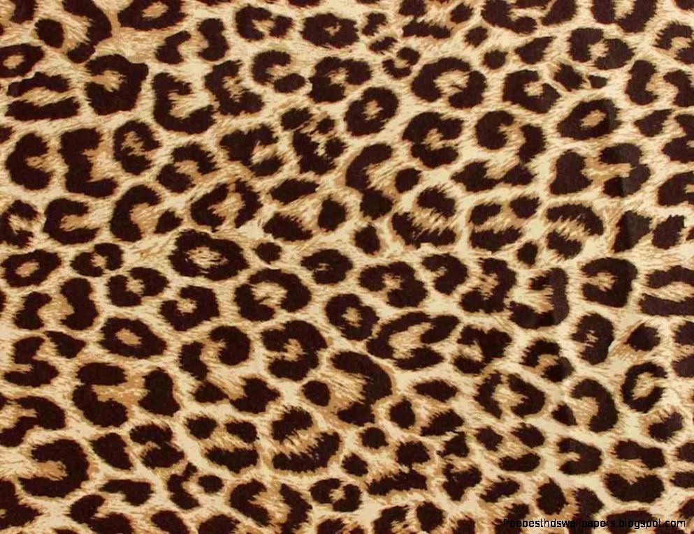 Cheetah Leopard Print