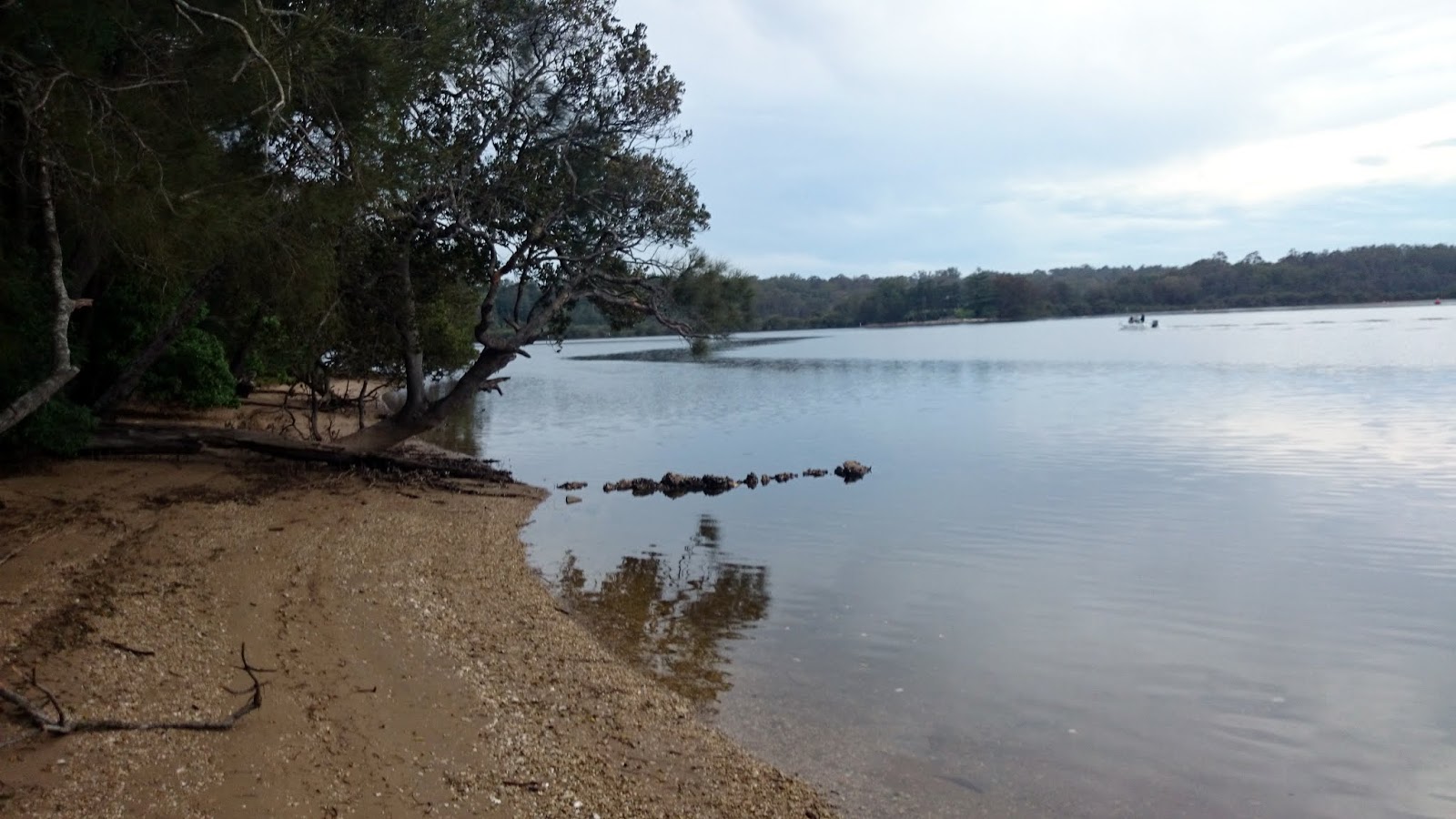 its just my life Clyde River National Park