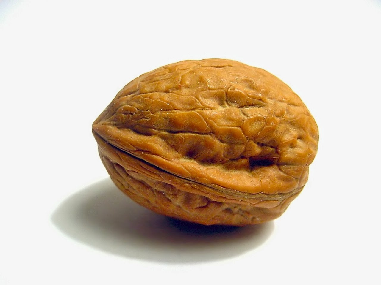 22q What's that ? Never heard of it The size of a walnut