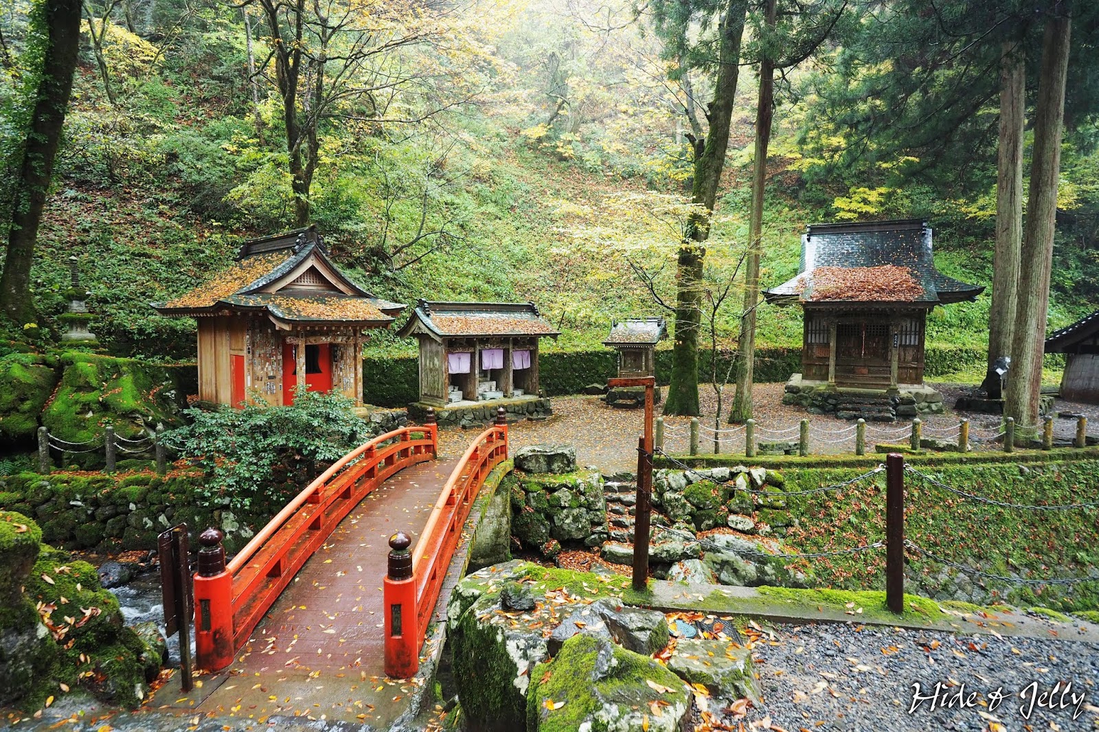 Hide Jelly 17北陸楓葉季day5 福井 古老 莊嚴的曹洞宗大本山 永平寺