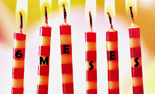 6 meses meio ano de blog