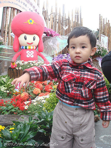 台北陽明山國家公園花季