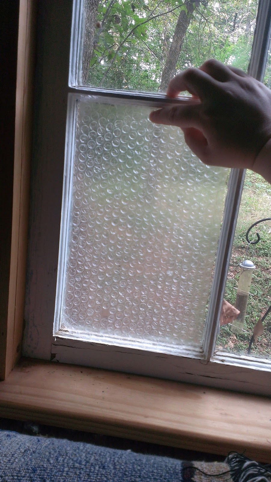 The Thrifty Missus Cheap window insulation