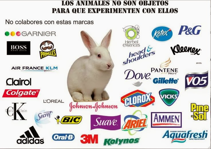 BLOG Evita los Productos Testados en Animales