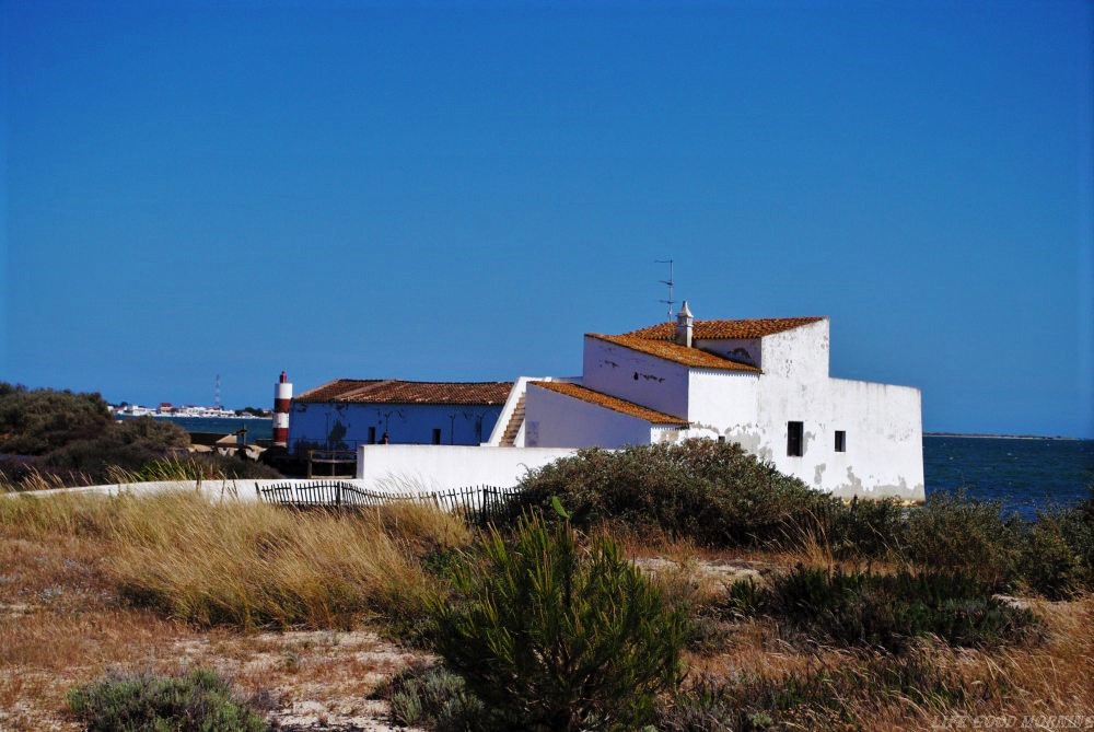 Olhao i bajkowy rezerwat Parque Natural da Ria Formos, czyli kolejne atrakcje Algarve. 
