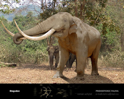 elefantes extintos Stegodon