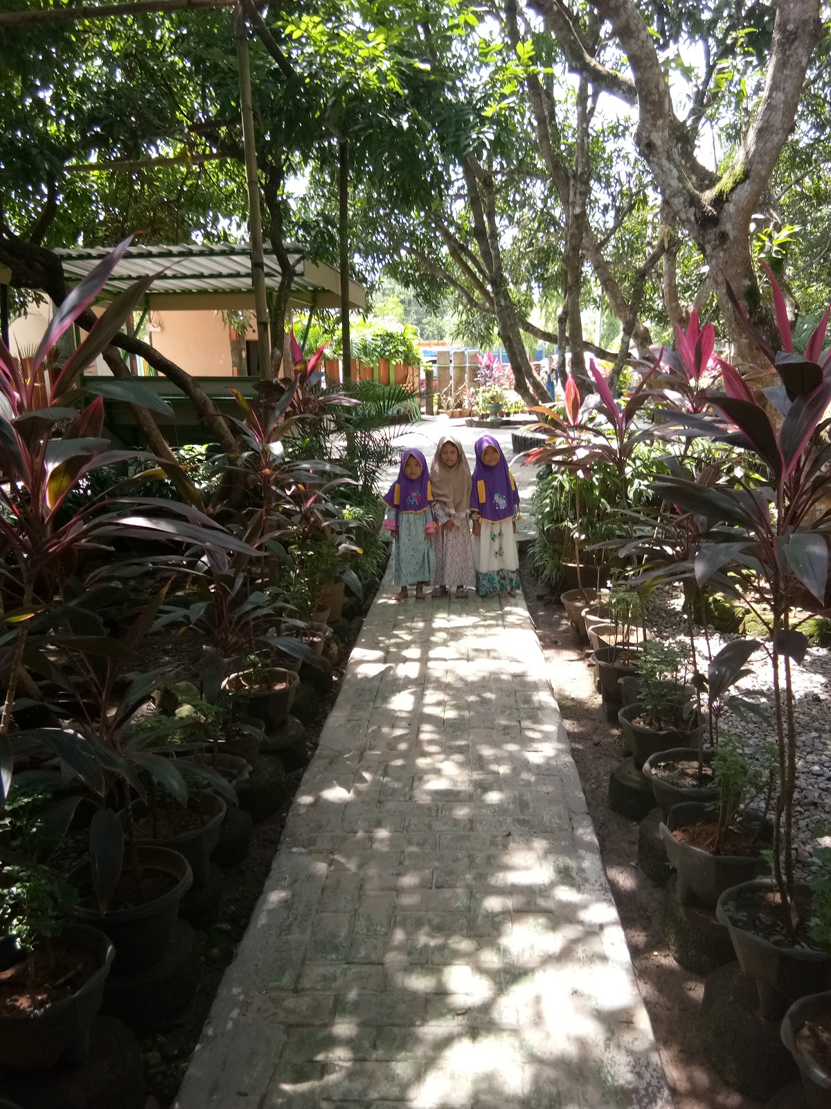 (WKG) Wisata Kebun Gowa - Coach Sabran