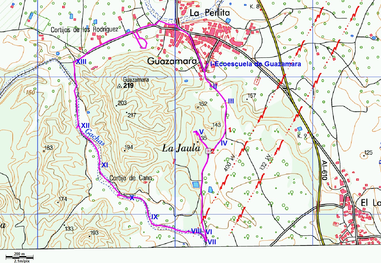 Ecoescuela de Guazamara EXCURSIÓN A LA RAMBLA DE LAS GACHAS