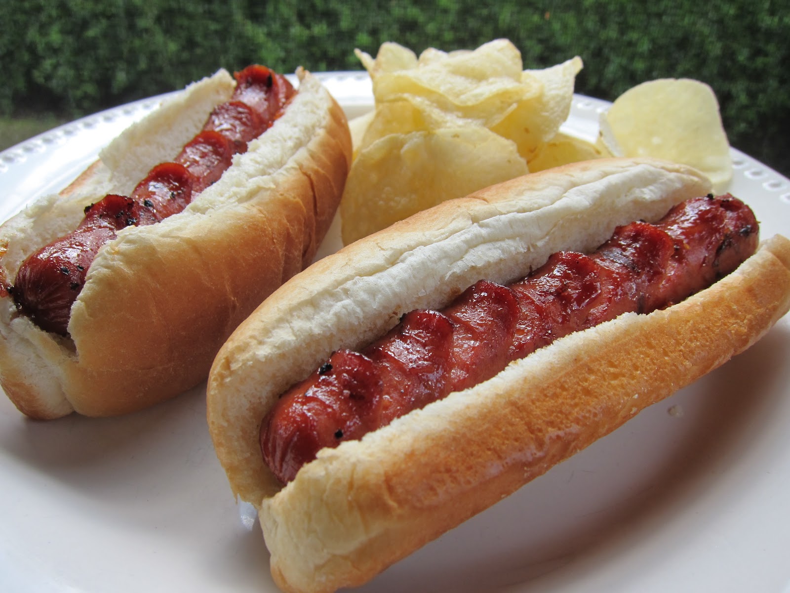 foodbuzz-24x24-hot-diggity-dog-plain-chicken