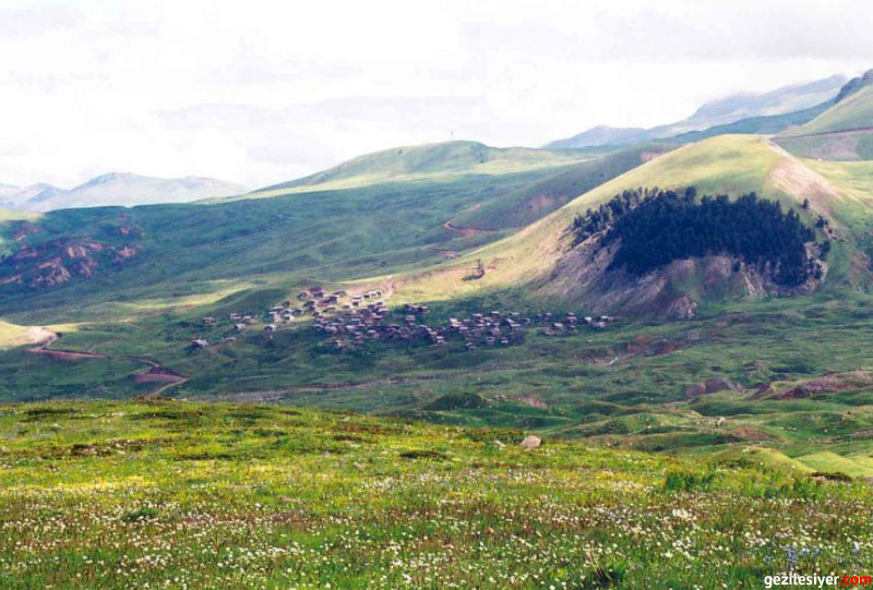 Türkiye - arsiyan yaylasi3 Türkiye - arsiyan yaylasi3