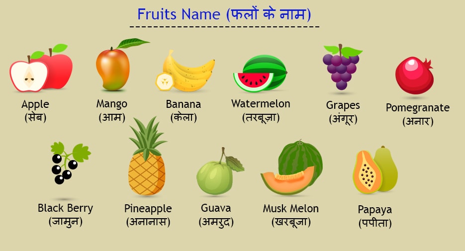 Names Of Vegetables And Fruits In Hindi And English À¤¸à¤¬ À¤ À¤¯ À¤ À¤¨ À¤® Gk Planet