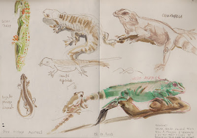 zeroglotte: non-human animals