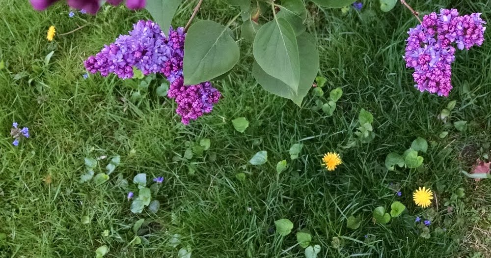 m e s s y b e d s t u d i o summer