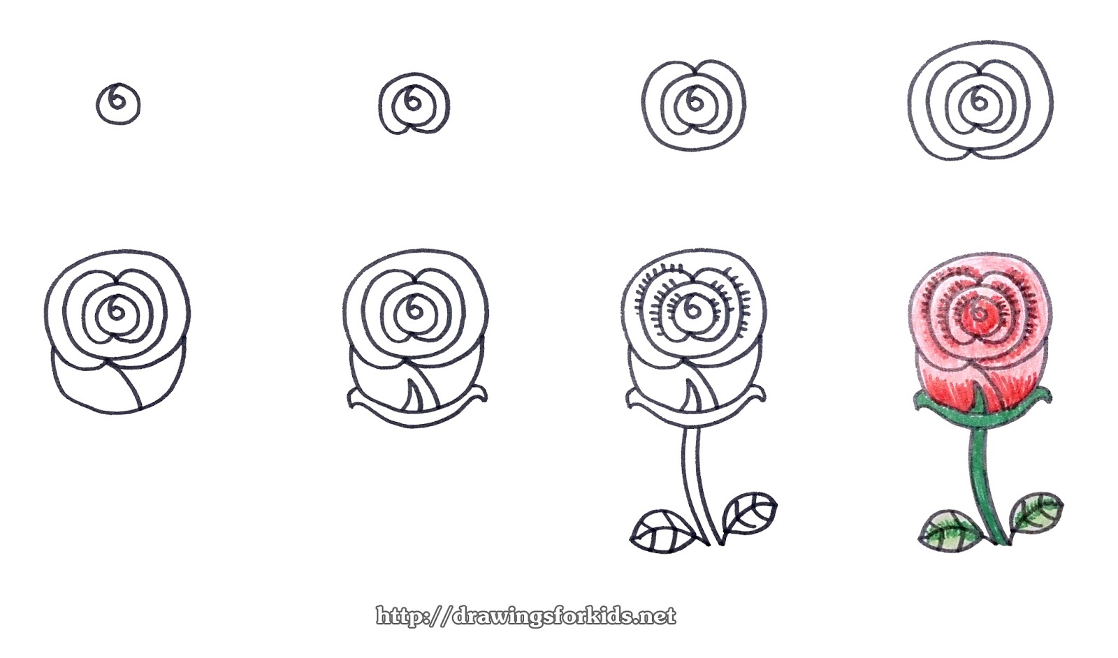 How to draw a Rose for kids - drawingsforkids.net