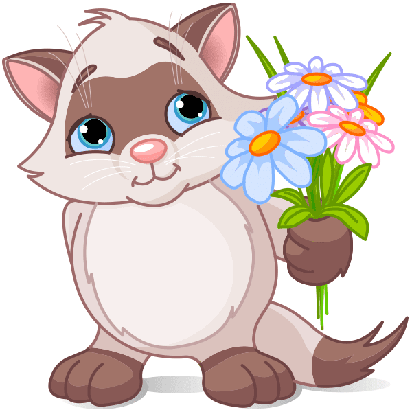 Floral Kitty