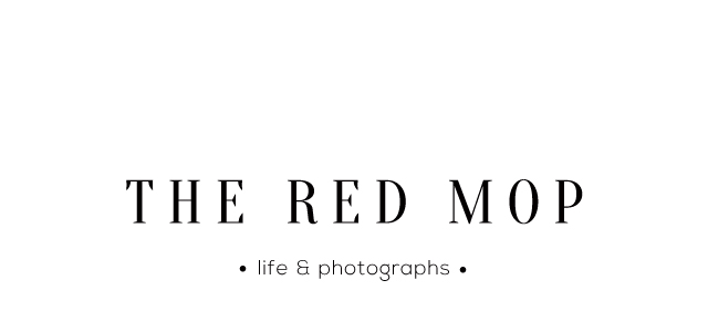 the red mop