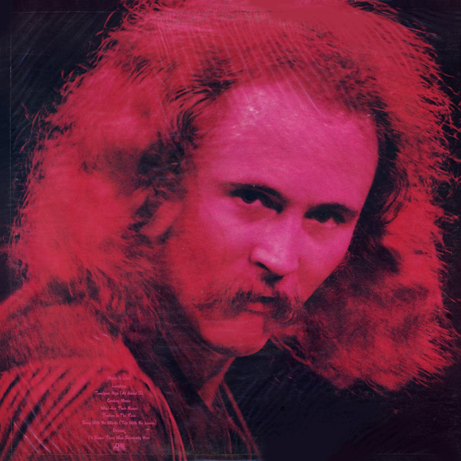 1971 If I Could Only Remember My Name David Crosby Rockronología 1971 If I Could Only Remember My Name David Crosby Rockronología