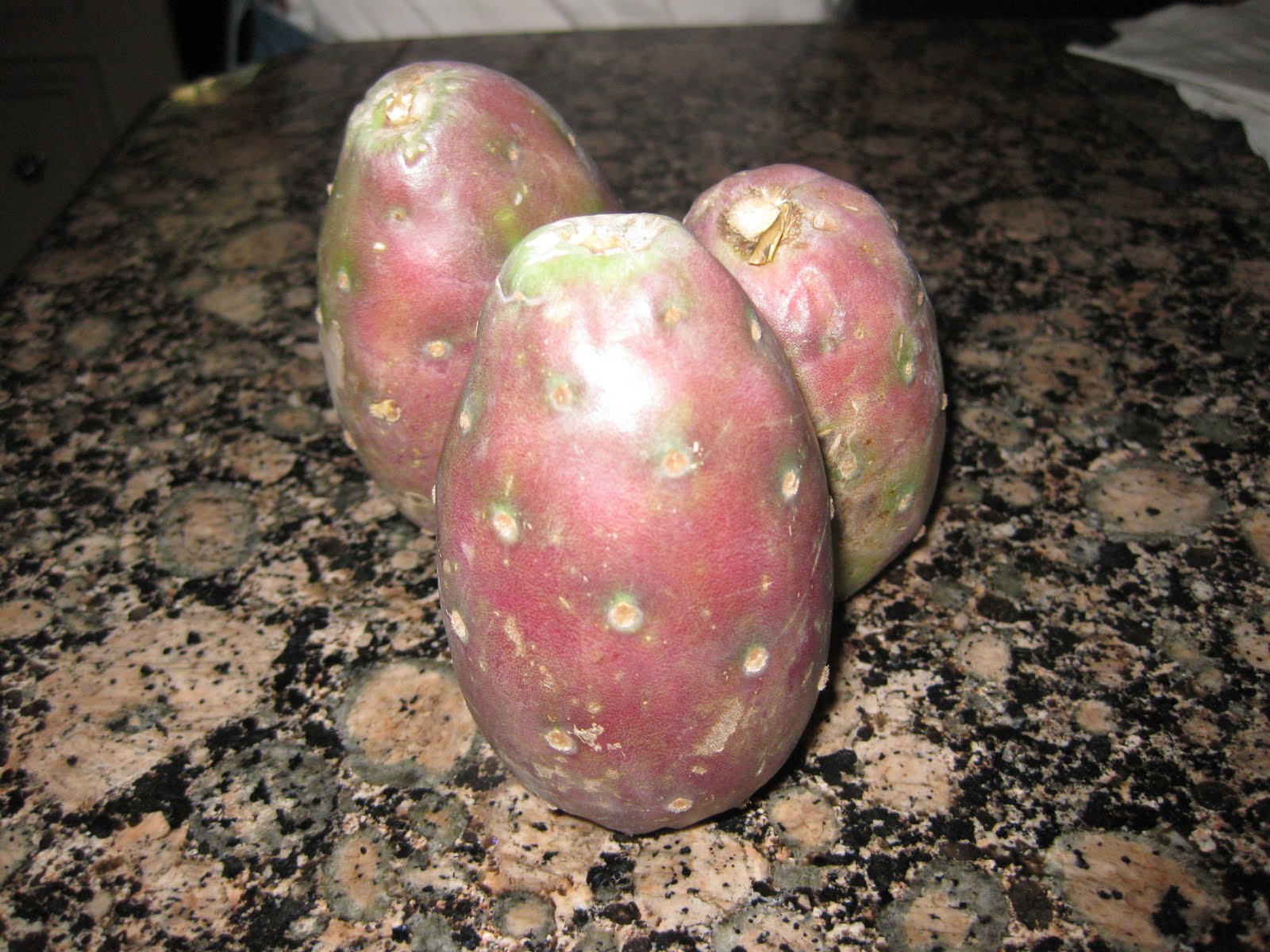 Dazzling Dietitian Tuna....the fruit?