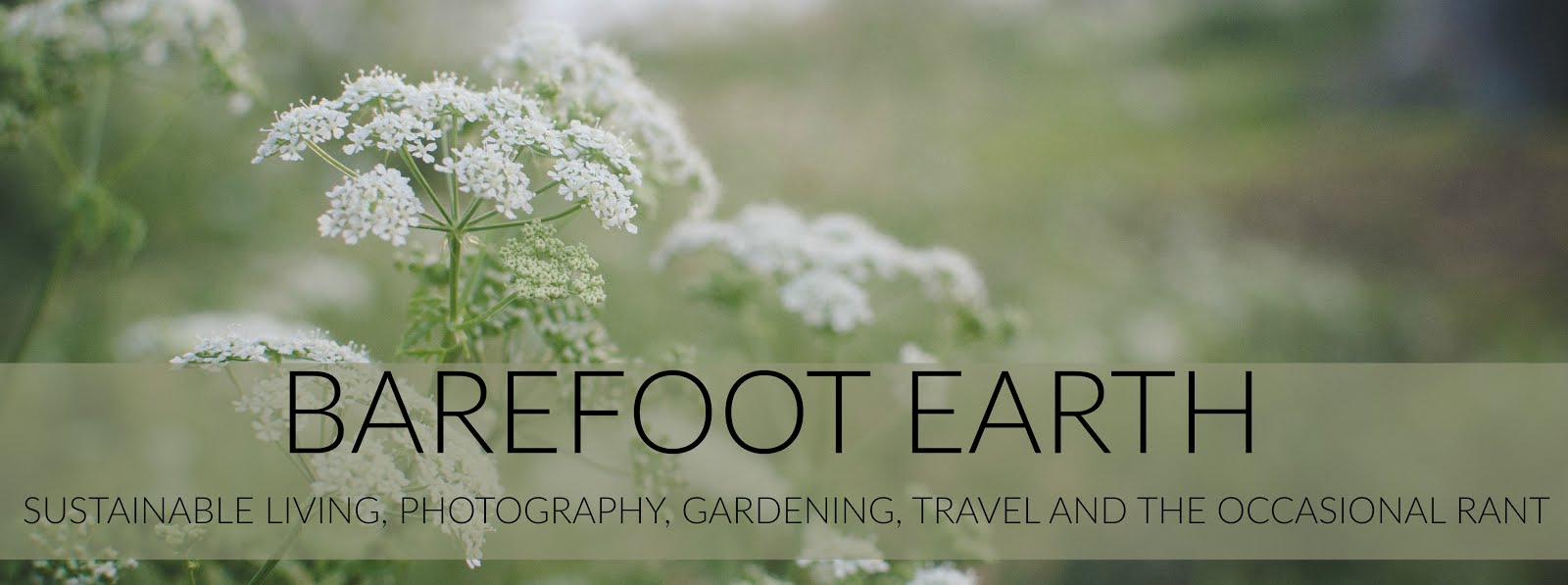 Barefoot Earth