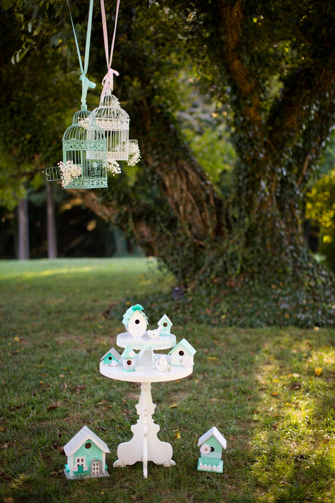 Wedding Wednesday- Painted birdcage wedding decor ideas | Meet the B's