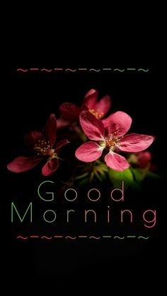 good morning flower images