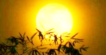 iki: Di Wajahmu Kulihat Bulan - Ismail Marzuki