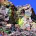 The Colorful Outcrops of Turgite in New Mexico